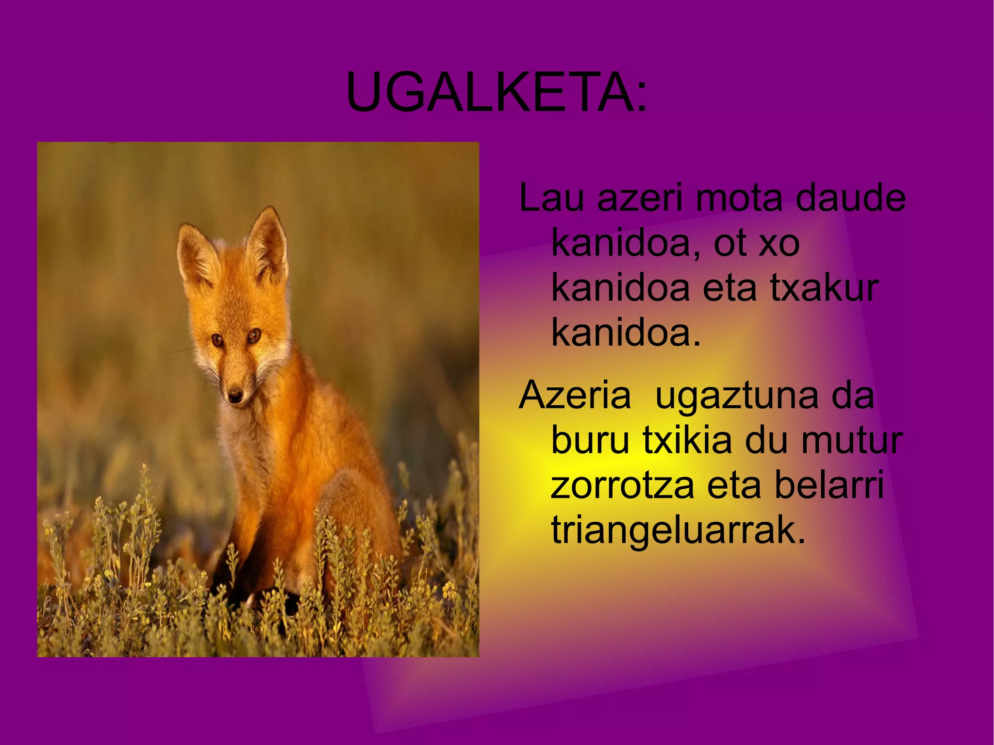 Azeria | PPT