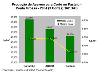  Olisun 5Sorgos Graníferos Buster Catuy MR 43Sorgos de Silagem Chopper NutriGrain