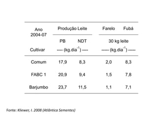  VDH 422Sorgos de Pastejo Jumbo NutriBem