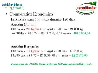 AzevémTetraploídeBarjumboTéc. Agrícola Pablo Henrique  SouzaDiretor Agrodifusão