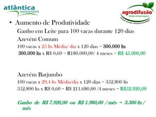 HistóricoAzevémtetraploídeProduzido nos EUA e ArgentinaOrigem Nova ZelândiaComercializado em vários países do mundoProcesso especial de beneficiamento Sementes com 99% de pureza e germinaçãoEntrou no Brasil em 2005Sua entrada no Brasil iniciou um nova era na cultura do azevém.