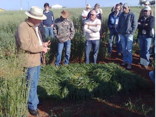 Fonte: Quirrenbach, I. 2008 (Fundação ABC)