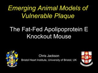 The Fat-Fed Apolipoprotein E
Knockout Mouse
Chris Jackson
Bristol Heart Institute, University of Bristol, UK
Emerging Animal Models of
Vulnerable Plaque
 
