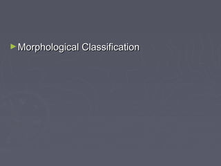 ►Morphological ClassificationMorphological Classification
 