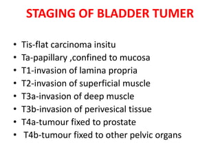 STAGING OF BLADDER TUMER
•
•
•
•
•
•
•
•

Tis-flat carcinoma insitu
Ta-papillary ,confined to mucosa
T1-invasion of lamina propria
T2-invasion of superficial muscle
T3a-invasion of deep muscle
T3b-invasion of perivesical tissue
T4a-tumour fixed to prostate
T4b-tumour fixed to other pelvic organs

 