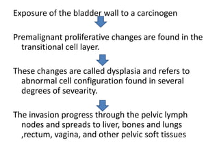 Exposure of the bladder wall to a carcinogen
Premalignant proliferative changes are found in the
transitional cell layer.
These changes are called dysplasia and refers to
abnormal cell configuration found in several
degrees of sevearity.
The invasion progress through the pelvic lymph
nodes and spreads to liver, bones and lungs
,rectum, vagina, and other pelvic soft tissues

 