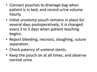 • Connect pouches to drainage bag when
patient is in bed, and record urine volume
hourly.
• Initial urostomy pouch remains in place for
several days postoperatively; it is changed
every 3 to 5 days when patient teaching
begins.
• Report bleeding, necrosis, sloughing, suture
separation.
• Check patency of ureteral stents.
• Keep the pouch on at all times, and observe
normal urine

 