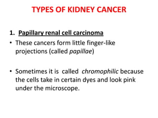 TYPES OF KIDNEY CANCER
1. Papillary renal cell carcinoma
• These cancers form little finger-like
projections (called papillae)

• Sometimes it is called chromophilic because
the cells take in certain dyes and look pink
under the microscope.

 