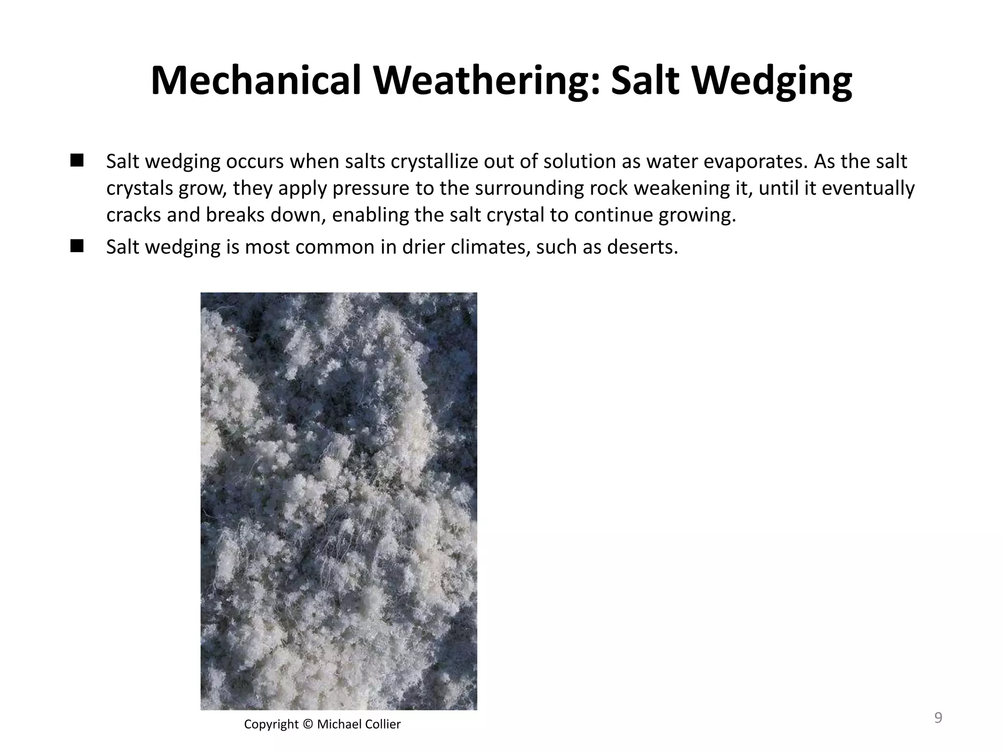 Mechanical Weathering: Salt Wedging
 Salt wedging occurs when salts crystallize out of solution as water evaporates. As the salt
crystals grow, they apply pressure to the surrounding rock weakening it, until it eventually
cracks and breaks down, enabling the salt crystal to continue growing.
 Salt wedging is most common in drier climates, such as deserts.
Copyright © Michael Collier 9
 