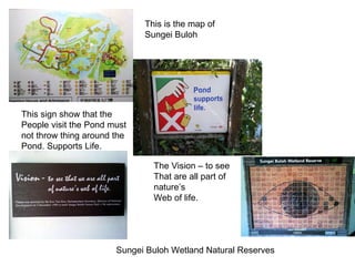 This is the map of Sungei Buloh This sign show that the People visit the Pond must not throw thing around the Pond. Supports Life. The Vision – to see That are all part of nature’s Web of life. Sungei Buloh Wetland Natural Reserves 