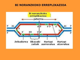 BI NORANZKOKO ERREPLIKAZIOA
 