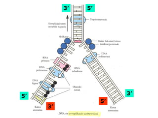 5’
3’
5’
3’
5’
3’
 