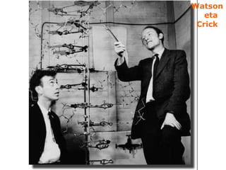 Watson
eta
Crick
 
