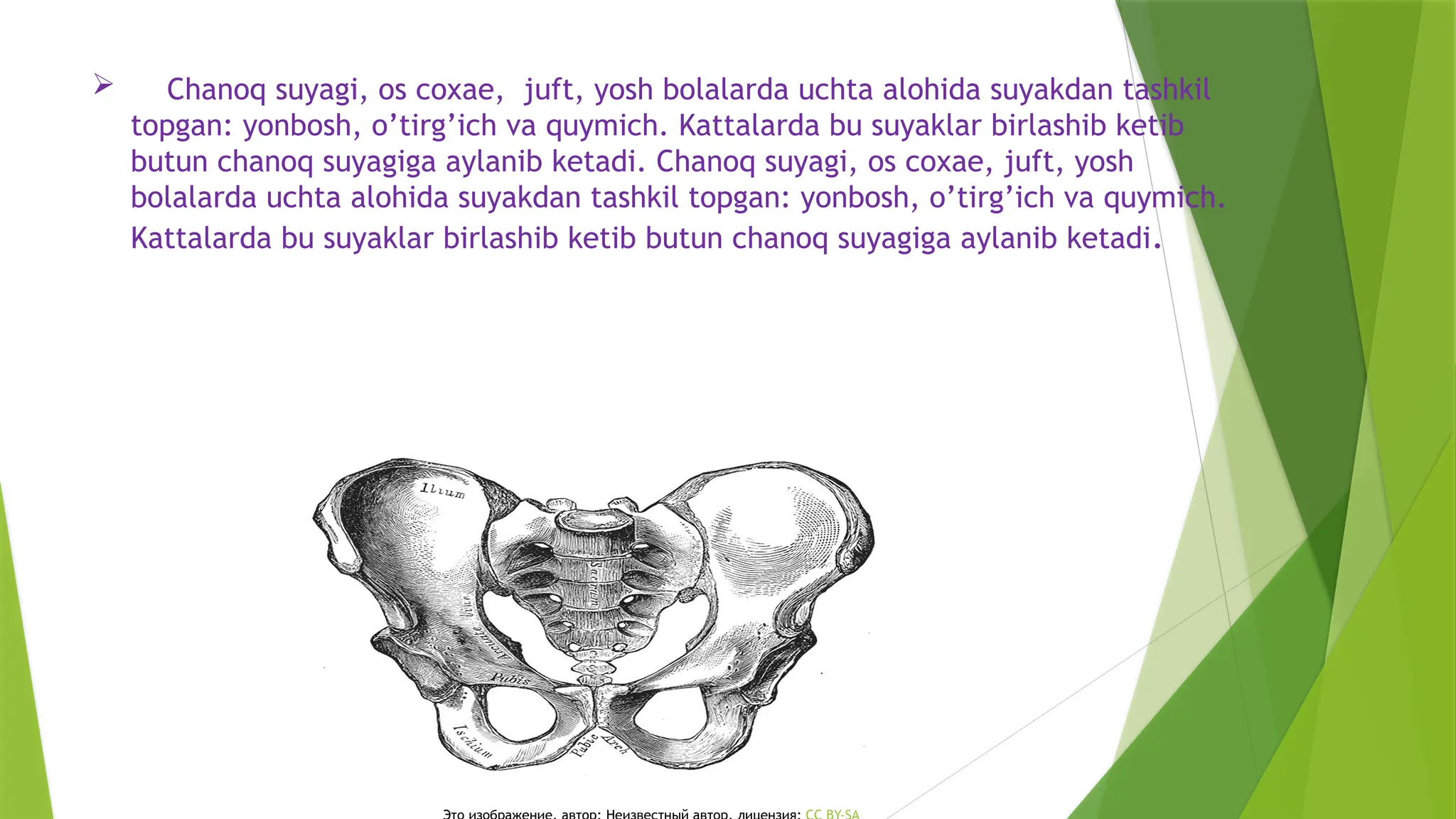 Rus porno onalar endi paypoq Lezbiyenlar kokraklarini qanday sorishadi va kokraklari bilan sikishadi