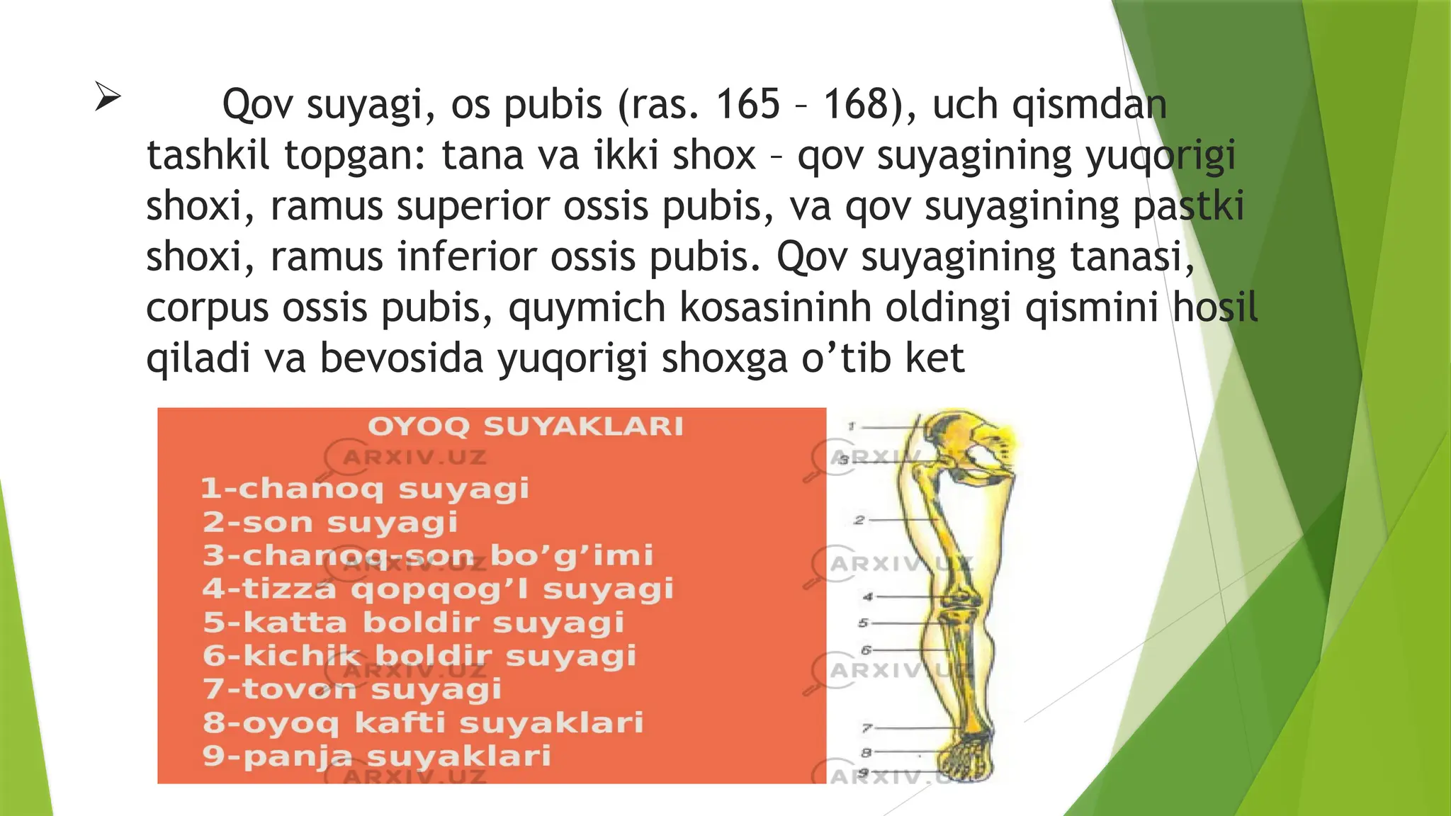 Jinsiy aloqada bolgan mitti va devlar (porno)