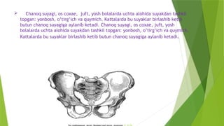 azimjon.pptx anatomoya anatomiya chanoq suyagi suyak | PPTX