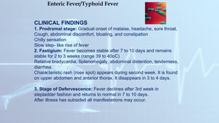 Comprehensive Overview of Respiratory System and Infectious Diseases | PPT