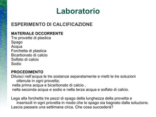 Laboratorio ESPERIMENTO DI CALCIFICAZIONE MATERIALE OCCORRENTE Tre provette di plastica Spago  Acqua Forchetta di plastica Bicarbonato di calcio Solfato di calcio Sodio PROCEDIMENTO Diluisci nell’acqua le tre sostanze separatamente e metti le tre soluzioni ottenute in ogni provetta; nella prima acqua e bicarbonato di calcio , nella seconda acqua e sodio e nella terza acqua e solfato di calcio. Lega alla forchetta tre pezzi di spago della lunghezza della provetta e inseriscili in ogni provetta in modo che lo spago sia bagnato dalla soluzione. Lascia passare una settimana circa. Che cosa succederà? 