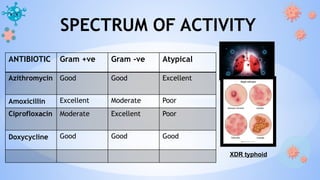 azithromycin-1.pptx usage and dosage in p | PPTX