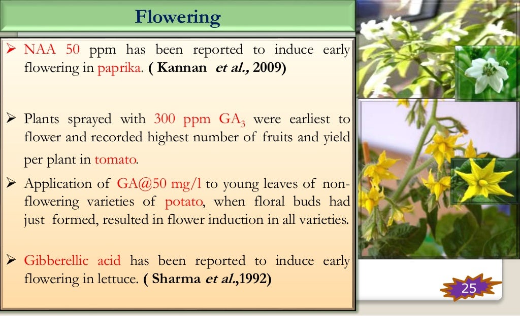 Role Of Growth Regulators In Enhancing The Productivity Of Vegetables