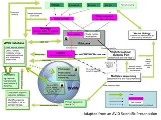 Azizi biorepository: Challenges and opportunities