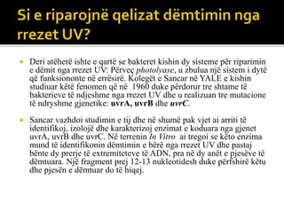  Deri atëherë ishte e qartë se bakteret kishin dy sisteme për riparimin
e dëmit nga rrezet UV: Përveç photolyase, u zbulua një sistem i dytë
që funksiononte në errësirë​​. Kolegët e Sancar në YALE e kishin
studiuar këtë fenomen që në 1960 duke përdorur tre shtame të
bakterieve të ndjeshme nga rrezet UV dhe u realizuan tre mutacione
të ndryshme gjenetike: uvrA, uvrB dhe uvrC.
 Sancar vazhdoi studimin e tij dhe në shumë pak vjet ai arriti të
identifikoj, izolojë dhe karakterizoj enzimat e koduara nga gjenet
uvrA, uvrB dhe uvrC. Në terrenin In Vitro ai tregoi se këto enzima
mund të identifikonin dëmtimin e bërë nga rrezet UV dhe pastaj
bënte dy prerje të extremiteteve të ADN, pra në dy anët e pjesëve të
dëmtuara. Një fragment prej 12-13 nukleotidesh duke përfshirë këtu
dhe pjesën e dëmtuar do të hiqej.
 