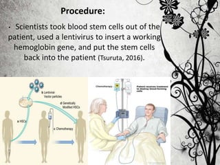 • Scientists took blood stem cells out of the
patient, used a lentivirus to insert a working
hemoglobin gene, and put the stem cells
back into the patient (Tsuruta, 2016).
Procedure:
 