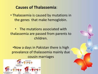 • Thalassemia is caused by mutations in
the genes that make hemoglobin.
• The mutations associated with
thalassemia are passed from parents to
children.
•Now a days in Pakistan there is high
prevalance of thalassemia mainly due
cousin marriages
Causes of Thalassemia:
 