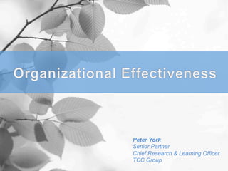 Peter York
Senior Partner
Chief Research & Learning Officer
TCC Group
 