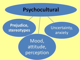 Psychocultural

 Prejudice,
                     Uncertainty,
stereotypes
                       anxiety
          Mood,
         attitude,
        perception
 