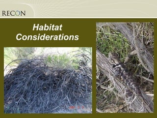 Habitat Considerations 