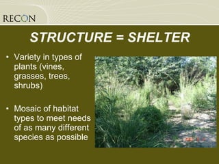 STRUCTURE = SHELTER Variety in types of plants (vines, grasses, trees, shrubs) Mosaic of habitat types to meet needs of as many different species as possible 