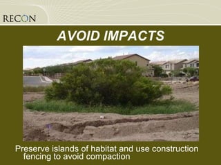 AVOID IMPACTS Preserve islands of habitat and use construction fencing to avoid compaction 