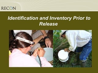 Identification and Inventory Prior to Release  