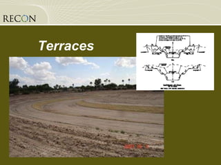 Terraces   