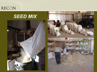 SEED MIX 