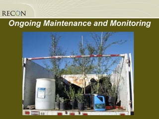 Ongoing Maintenance and Monitoring 