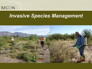 Invasive Species Management 