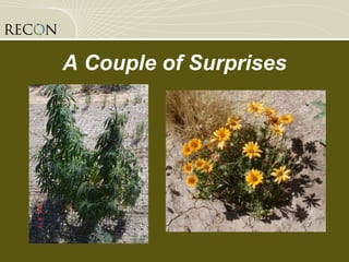 A Couple of Surprises 