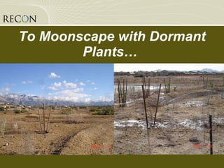 To Moonscape with Dormant Plants…  