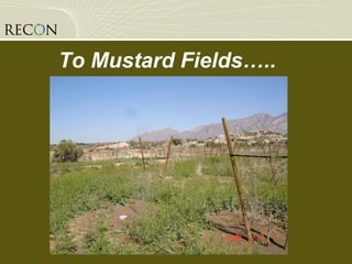 To Mustard Fields…..  