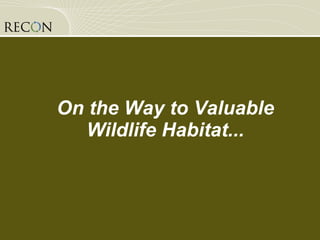 On the Way to Valuable Wildlife Habitat... 