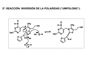 2ª. REACCIÓN. INVERSIÓN DE LA POLARIDAD (“UMPOLONG”):
 