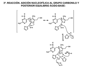 3ª. REACCIÓN. ADICIÓN NUCLEOFÍLICA AL GRUPO CARBONILO Y
              POSTERIOR EQUILIBRIO ÁCIDO-BASE:


                     H                                      H
                 H N             CH 3                   H N               CH 3
                                        OH                                                OH
                 N           N                          N             N
                                   S                                        S
          H 3C       N                          H 3C        N
                         C                                        C
                     O                                      O
                             O H                                      O H


                                                                                      H
                                                                                 O    C
                                                                                           O



                                                        H
                                                    H N              CH 3
                                                                                     OH
                                                    N            N
                                                                      S
                                             H 3C       N
                                                                    H           Na   O H
                                                                C O
                                                        O
                                                                  C H
                                                                            O
                                                                 O

                                                                H O
                                                                      H
 