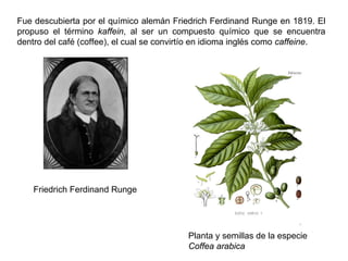 Fue descubierta por el químico alemán Friedrich Ferdinand Runge en 1819. El
propuso el término kaffein, al ser un compuesto químico que se encuentra
dentro del café (coffee), el cual se convirtío en idioma inglés como caffeine.




    Friedrich Ferdinand Runge




                                           Planta y semillas de la especie
                                           Coffea arabica
 