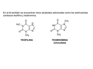 En el té también se encuentran otros alcaloides adicionales como los estimulantes
cardiacos teofilina y teobromina.




                TEOFILINA                     TEOBROMINA
                                               (chocolate)
 