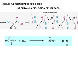 AZOLES-1,3. PROPIEDADES ÁCIDO BASE

              IMPORTANCIA BIOLÓGICA DEL IMIDAZOL
                                       Enlaces peptídicos




Muchas
 