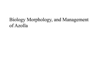 Biology Morphology, and Management
of Azolla
 