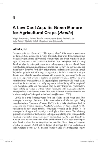 Photo inspiration: Gallery Detail: A Low Cost Aquatic Green Manure For Agricultural Crops Azolla