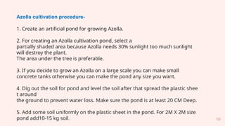Basics_of_Azolla_Production_kumudini.pptx